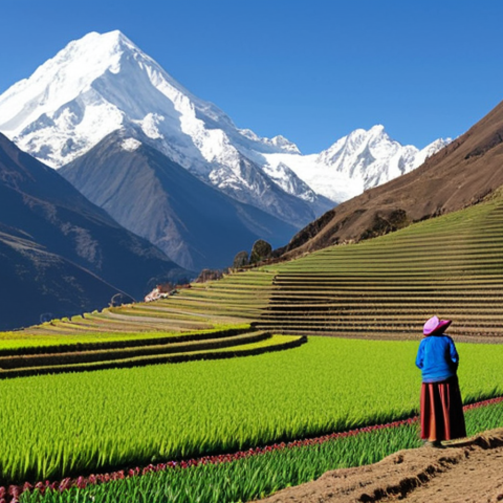 **
"A vibrant agricultural landscape in the Andean mountains. Indigenous farmers in traditional, modest clothing are harvesting crops on meticulously constructed terraces ("andenes"). In the background, snow-capped peaks rise majestically. Focus on the sustainable farming practices and the rich biodiversity. Bright, natural lighting. Safe for work, appropriate content, fully clothed, professional photography, perfect anatomy, natural proportions, family-friendly."
**