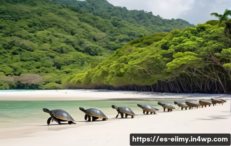 원주민 생태지혜와 해양 생태계 보호 관련 이미지 1