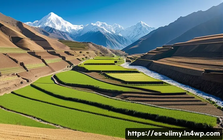 원주민의 생태지혜와 기후 변화 대응 관련 이미지 1