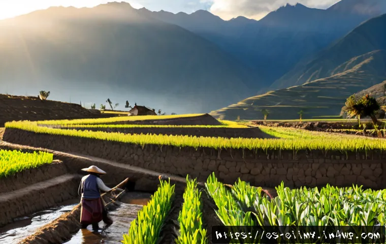 원주민 생태지혜와 고대 문명의 발전 - Photorealistic wide scene in the Andean highlands at sunrise, Indigenous farmers in practical woven ...